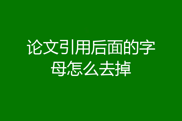 论文引用后面的字母怎么去掉
