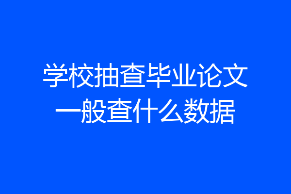 学校抽查毕业论文一般查什么数据