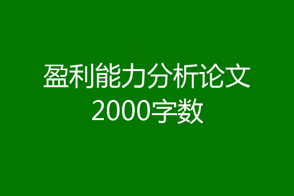 盈利能力分析论文2000字数