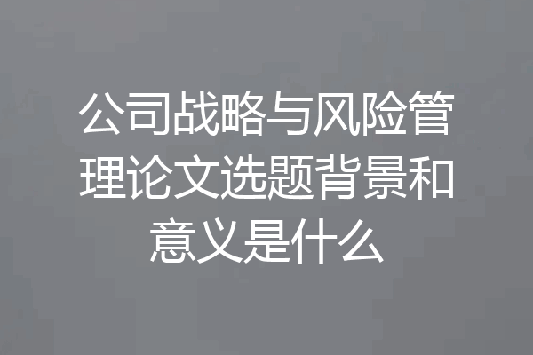 公司战略与风险管理论文选题背景和意义是什么