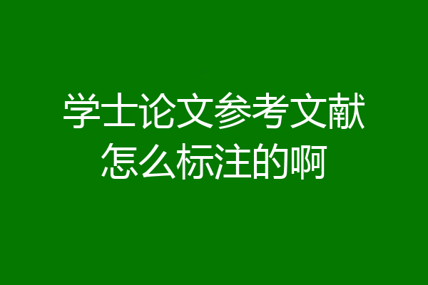 学士论文参考文献怎么标注的啊