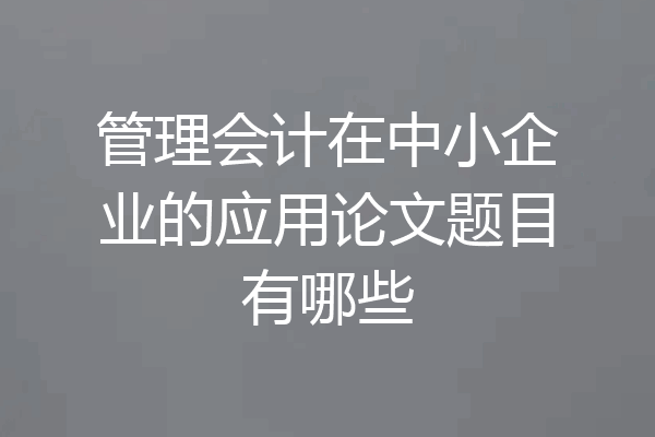 管理会计在中小企业的应用论文题目有哪些