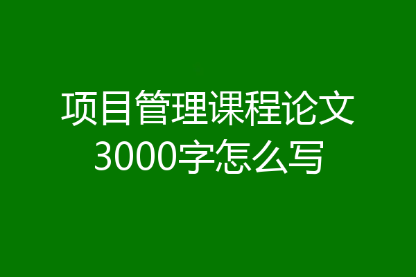 项目管理课程论文3000字怎么写