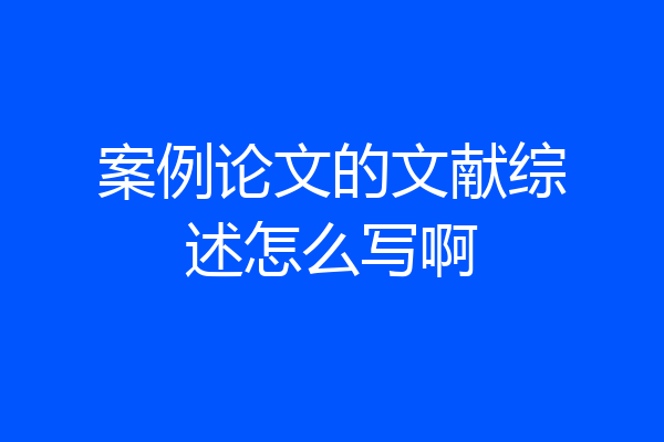 案例论文的文献综述怎么写啊