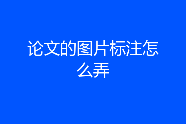 论文的图片标注怎么弄