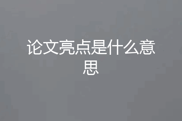 论文亮点是什么意思