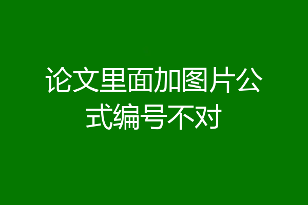 论文里面加图片公式编号不对