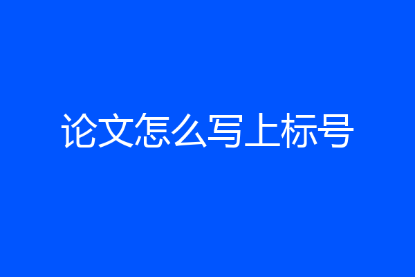 论文怎么写上标号