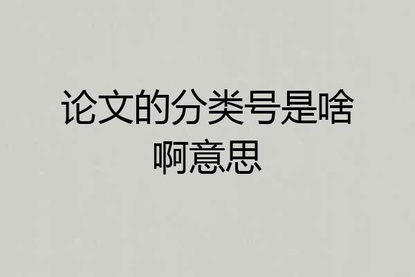 论文的分类号是啥啊意思
