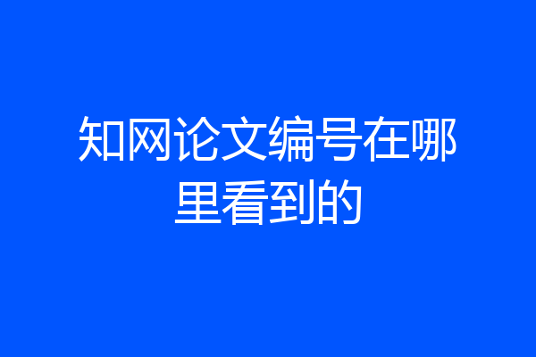 知网论文编号在哪里看到的