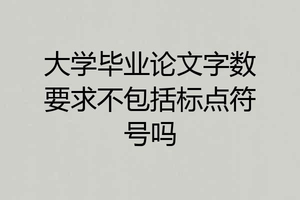 大学毕业论文字数要求不包括标点符号吗