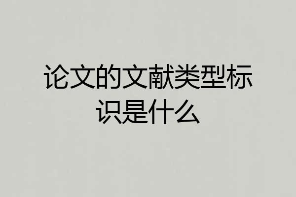 论文的文献类型标识是什么