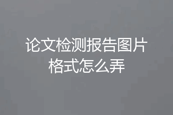 论文检测报告图片格式怎么弄
