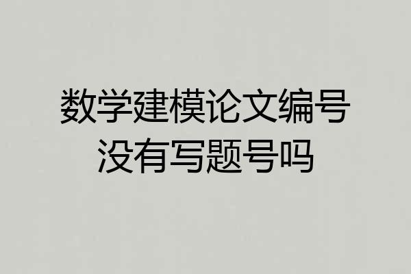 数学建模论文编号没有写题号吗
