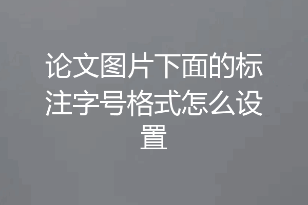 论文图片下面的标注字号格式怎么设置
