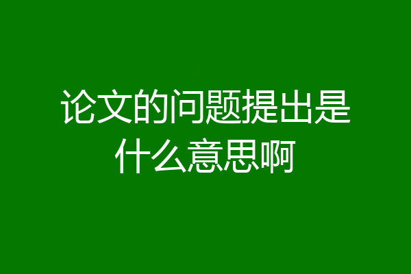论文的问题提出是什么意思啊
