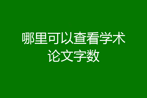哪里可以查看学术论文字数