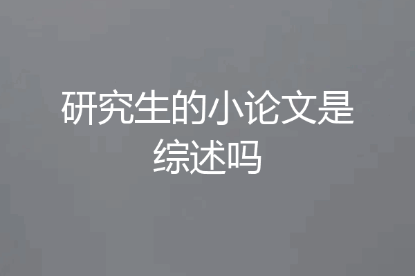 研究生的小论文是综述吗