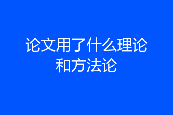 论文用了什么理论和方法论