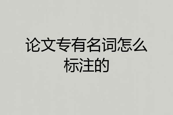 论文专有名词怎么标注的