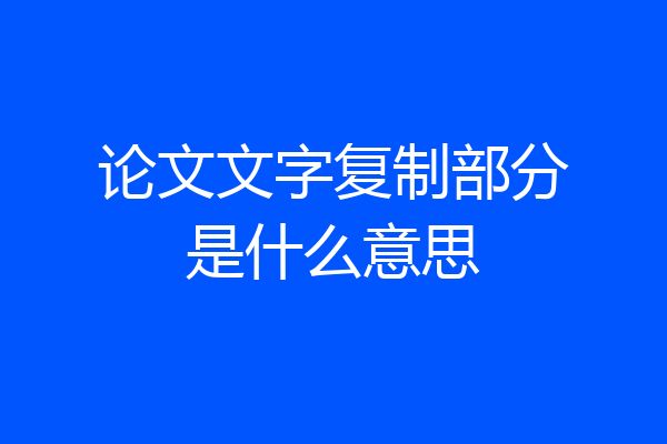 论文文字复制部分是什么意思