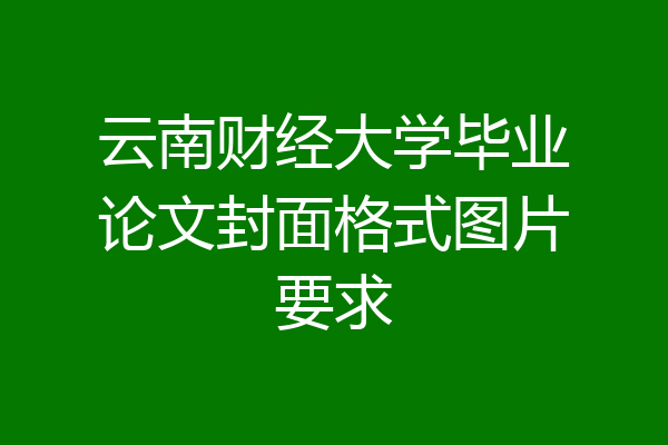 云南财经大学毕业论文封面格式图片要求
