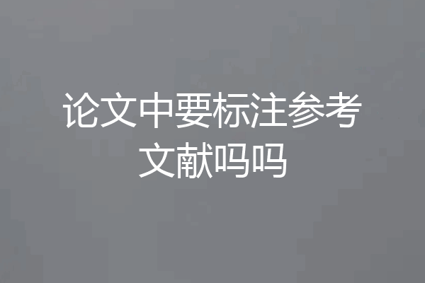 论文中要标注参考文献吗吗