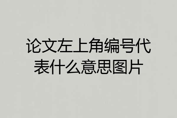 论文左上角编号代表什么意思图片