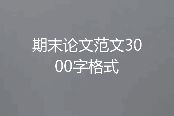 期末论文范文3000字格式