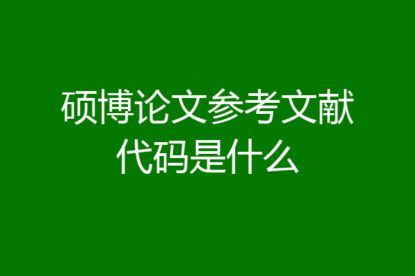 硕博论文参考文献代码是什么