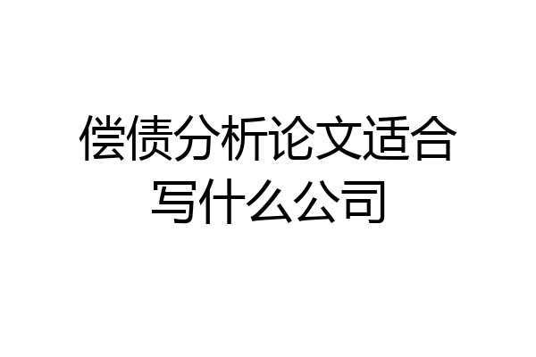 偿债分析论文适合写什么公司