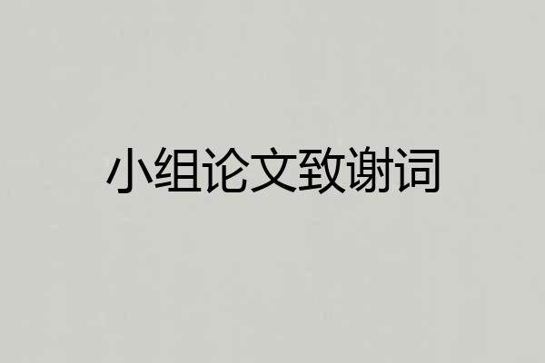 小组论文致谢词