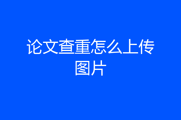 论文查重怎么上传图片