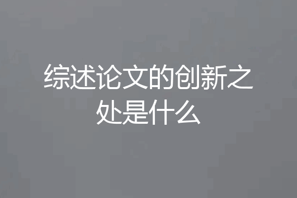 综述论文的创新之处是什么