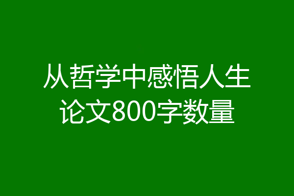 从哲学中感悟人生论文800字数量