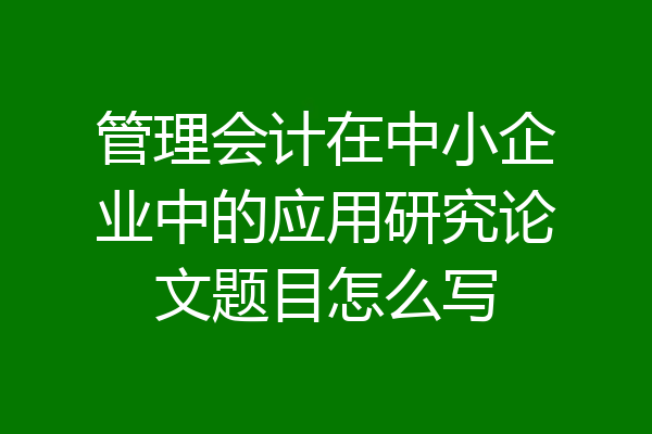 管理会计在中小企业中的应用研究论文题目怎么写