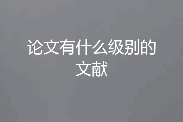 论文有什么级别的文献