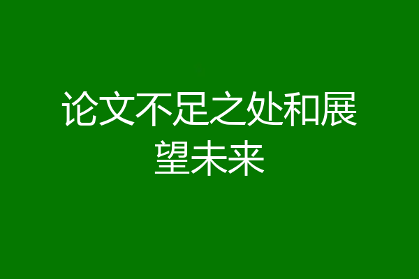 论文不足之处和展望未来