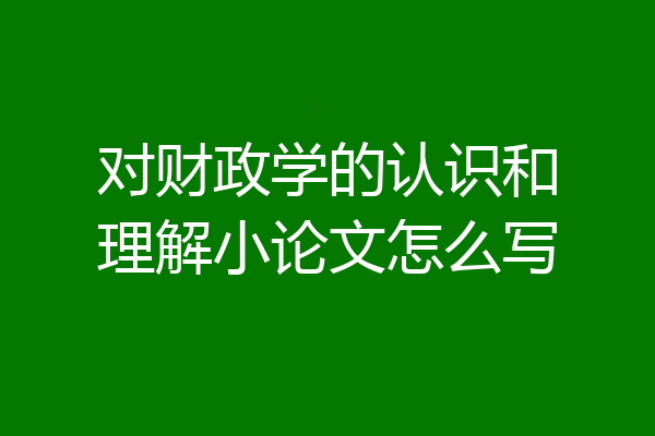 对财政学的认识和理解小论文怎么写