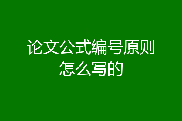 论文公式编号原则怎么写的