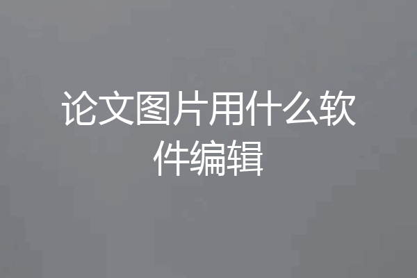 论文图片用什么软件编辑