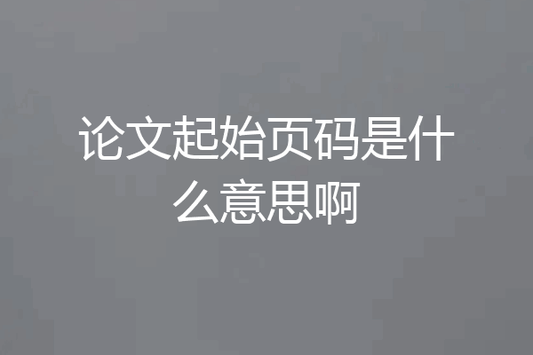 论文起始页码是什么意思啊