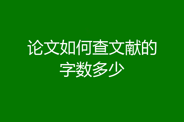 论文如何查文献的字数多少