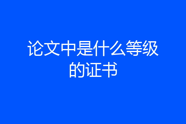 论文中是什么等级的证书