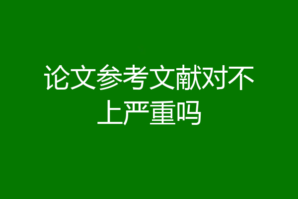 论文参考文献对不上严重吗