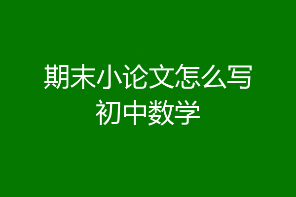 期末小论文怎么写初中数学