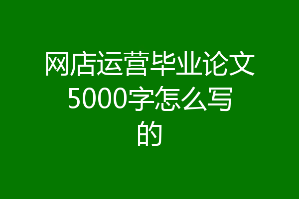 网店运营毕业论文5000字怎么写的