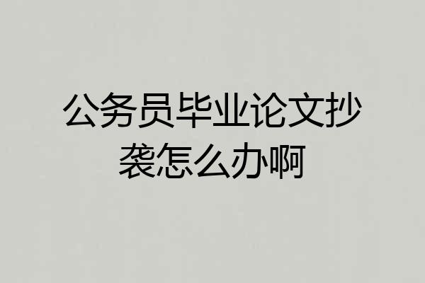 公务员毕业论文抄袭怎么办啊