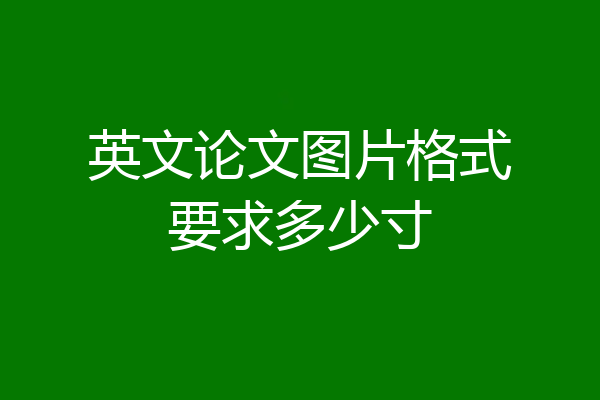 英文论文图片格式要求多少寸