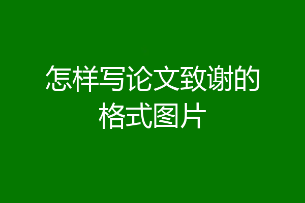怎样写论文致谢的格式图片